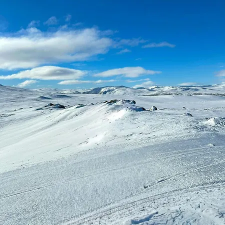 Mountain At 1 100 M Above Sea Level In Uvdal Dom wakacyjny *